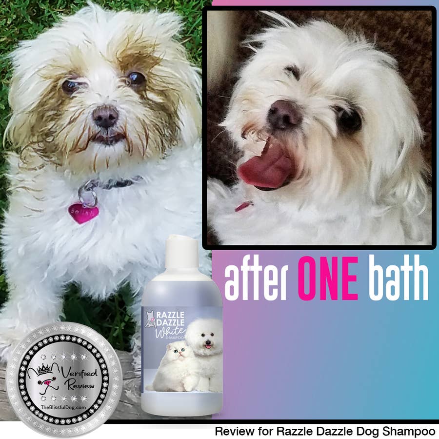 Collier Hurtta RazzleDazzle, Beetroot, 1822 In, 47 OFF